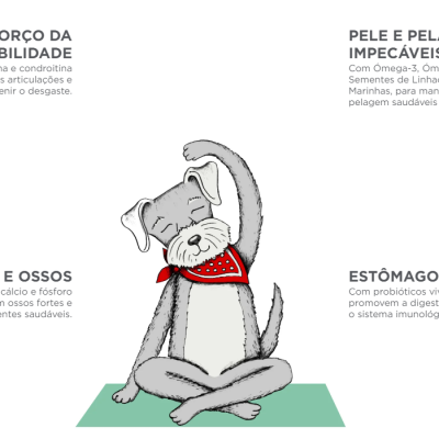 Desenho de um cão cinzento com bandana vermelha sentado numa manta verde com texto em português sobre benefícios de suplemento para animais