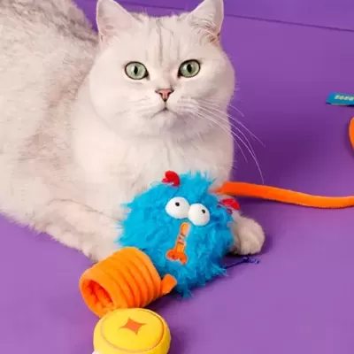 Gato branco com brinquedo de pelúcia azul, laranja e amarelo sobre fundo roxo