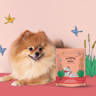 Cão Pomeranian ao lado de embalagem de snacks para cães HARPER BONE em fundo cor-de-rosa com ilustrações