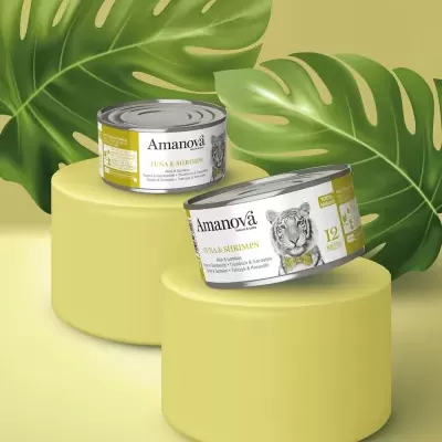Latas Amanová Tuna & Shrimps sobre suportes amarelos com folhas verdes ao fundo