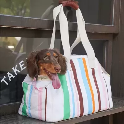 Mala de transporte listrada com cão a sair