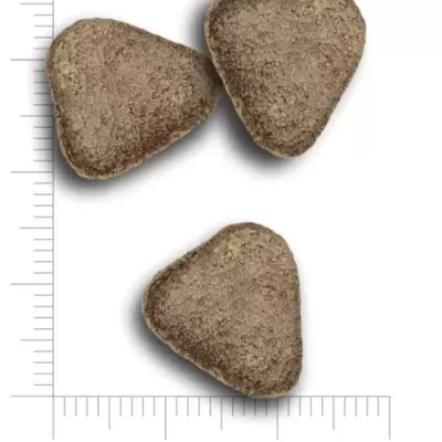 Pastilhas triangulares castanhas com textura rugosa e régua de medição