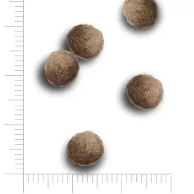 Cinco bolas castanhas pequenas sobre fundo branco com escala de medida