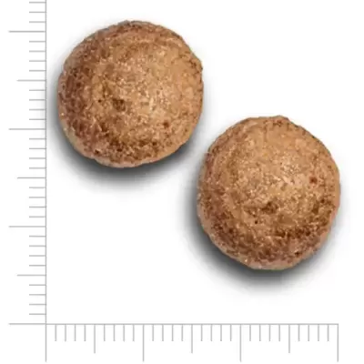 dois comprimidos marrons redondos com régua de medição ao redor