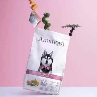 Embalagem de ração para cães Amanova Adult Sensitive sabor Salmão e Batata doce com cão Husky na frente em fundo rosa