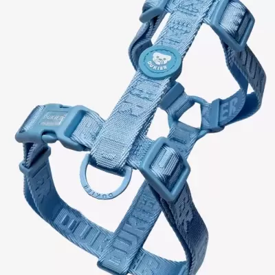 Peitoral para cão azul claro em nylon com fivelas plásticas e argola metálica