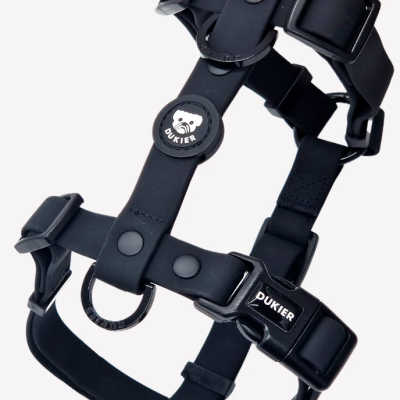 Peitoral negro para cão com fecho e etiquetas DUKIER