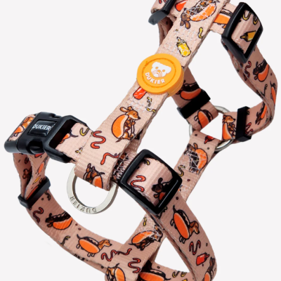 Arnês bege para cão com padrão colorido e etiqueta laranja QUIKIER