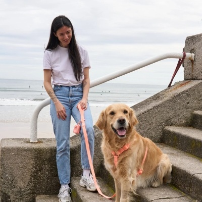 Golden retriever com coleira e trela cor-de-rosa junto a mulher na praia