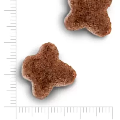 Dois bocados de ração castanha com textura rugosa medindo 18x18 mm sobre fundo branco com réguas.