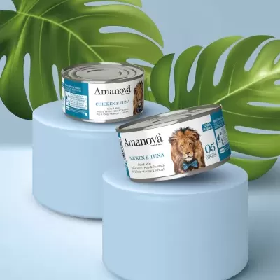 Duas latas de comida para cães Amanová Chicken & Tuna sobre suportes azuis com folhas verdes ao fundo