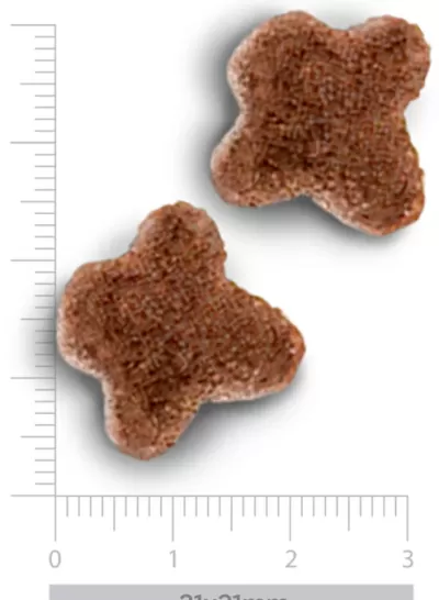 Duas bolachas secas para animais em forma de X castanhas com régua de medição.
