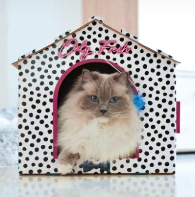 Casa de gato padrão branco com bolinhas pretas e texto Only Fresh