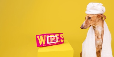 Pack rosa de lenços húmidos para cães e gatos ao lado de cão com toalha branca, fundo amarelo