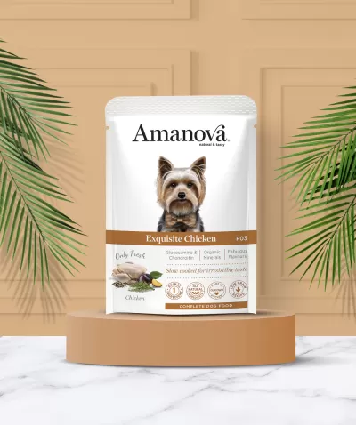 Saco branco de ração para cães Amanova Exquisite Chicken num expositor redondo com parede bege e plantas verdes ao redor