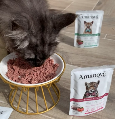 Gato a comer comida húmida de gato Amanova com três embalagens no chão de tijoleira clara