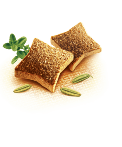 Dois biscoitos quadrados castanhos com sementes verdes e folha em fundo amarelo