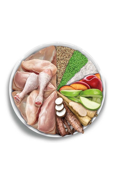 Prato dividido com frango cru, arroz, ervilhas, quinoa, cenoura, maçã e legumes variados