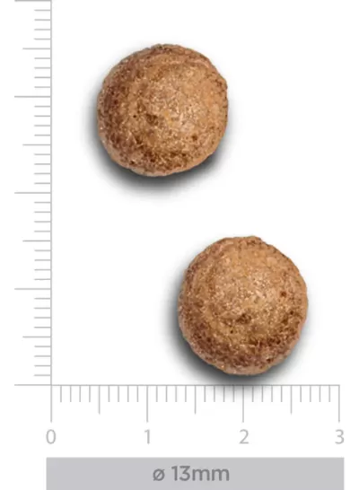 Dois objetos redondos castanhos com cerca de 13mm sobre fundo branco com régua