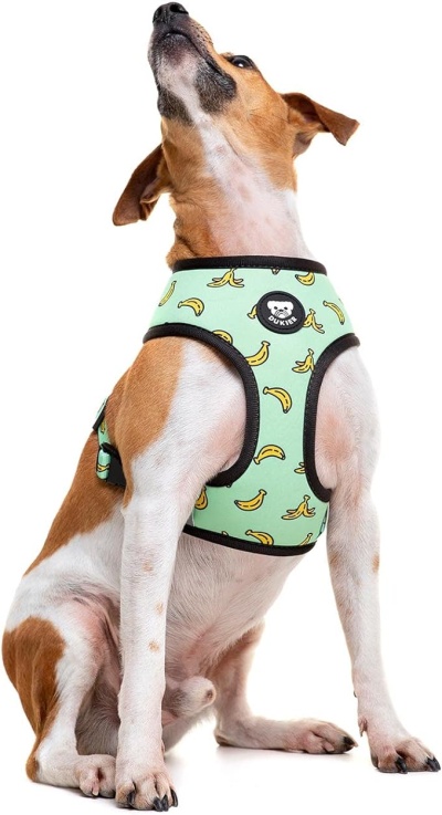 Colete verde claro com bananas para cão, com logo BOUVIBES, em cão castanho e branco sentado.