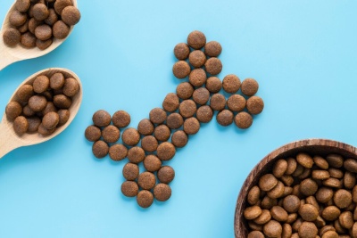 Petiscos ou bolachas castanhas em forma de osso com fundo azul e recipientes