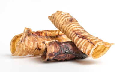 Três snacks para cães tipo tripa seca enrolada em fundo branco