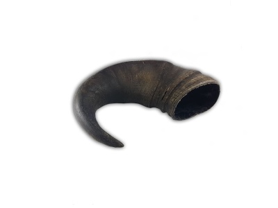 Chifre castanho escuro curvado com textura natural