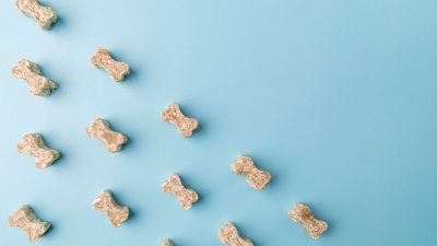 Biscoitos para cães em forma de osso sobre fundo azul-claro