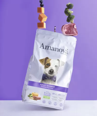 Saco de comida para cão Amanova Adult Exigent com texto e ingredientes sobre fundo roxo