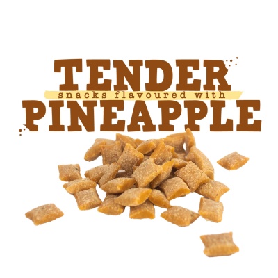 Snacks pequenos castanhos claros em fundo branco com texto Tender snacks flavoured with Pineapple