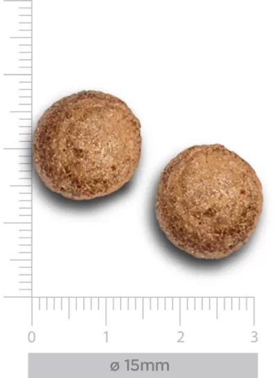 Duas bolinhas castanhas com 15 mm de diâmetro e regua em fundo branco