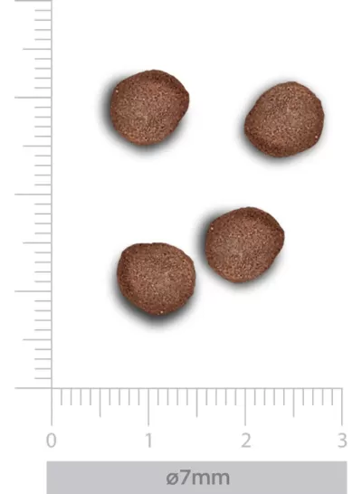 Quatro croquetes castanhos com 7 mm de diâmetro sobre fundo branco com escala métrica