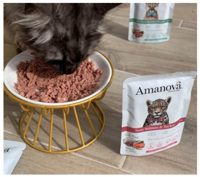 Gato a comer comida húmida de taça com embalagem Amanova Tasty Salmon & Turkey