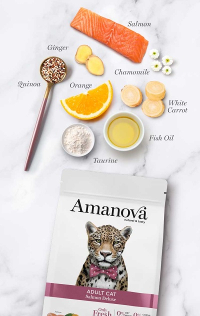 Pacote de comida para gato Amanova com ingredientes naturais (salmão, gengibre, camomila, quinoa, laranja, cenoura branca, óleo de peixe e taurina) dispostos ao redor.