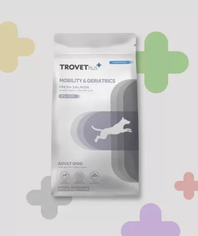 Pacote branco de alimento para cães com design cinzento e azul e cão a correr