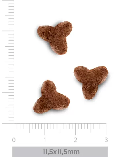 Pedaços de ração castanho escuro tamanho pequeno com régua ao lado para escala