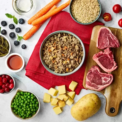 Carne crua, legumes, arroz integral, queijo cortado em cubos e molhos sobre toalha vermelha