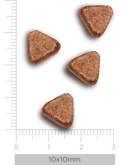 Quatro comprimidos triangulares marrons com textura granulada e escala de tamanho em milímetros.