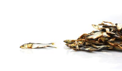 Peixes secos pequenos sobre superfície branca, um isolado e uma pilha maior