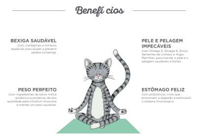 Ilustração de gato cinzento em posição de meditação com texto sobre benefícios para a saúde do gato.