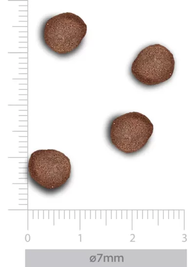 Pequenas bolachas castanhas com régua indicando 7 mm