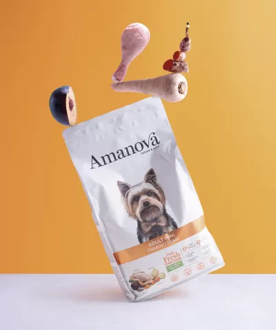 Bolsa branca de ração para cão Amanova Adult Mini com imagem de cão e alimentos variados