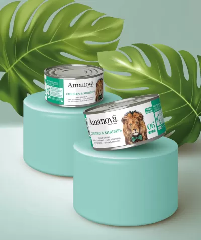 Duas latas de comida para cães Amanová Chicken & Shrimps sobre cilindros azuis com folhas tropicais ao fundo