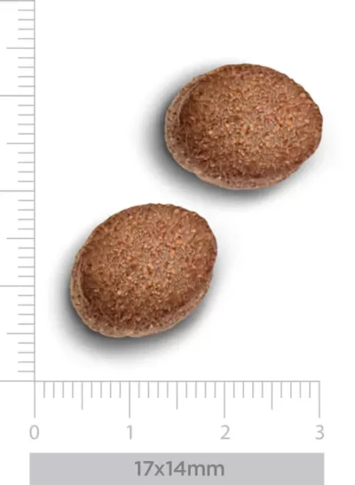 Duas bolachas redondas castanhas com textura granulada em fundo branco e régua de medição.