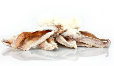 Orelhas secas de coelho com pêlo castanho claro e branco sobre superfície branca refletora