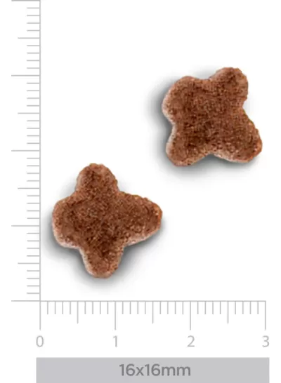 Duas peças marrons de ração em forma de cruz ao lado de régua mostrando tamanho