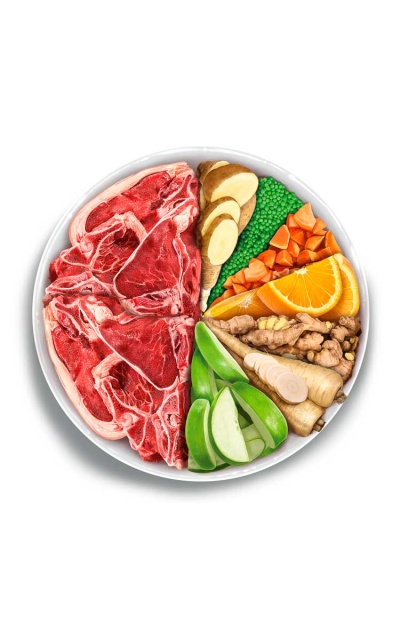 Prato branco com carne e diversos vegetais e frutas fatiados