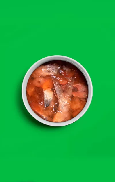 Tigela branca com carne em gelatina sobre fundo verde