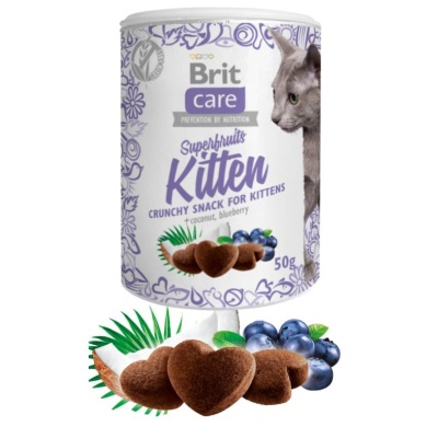 Lata de snacks para gatinhos Brit care superfruits Kitten sabor coco e mirtilo, com imagem de gato cinzento