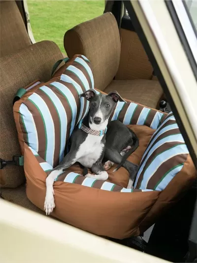 Assento para cães listrado azul, branco e castanho dentro de carro castanho com cão cinzento e branco